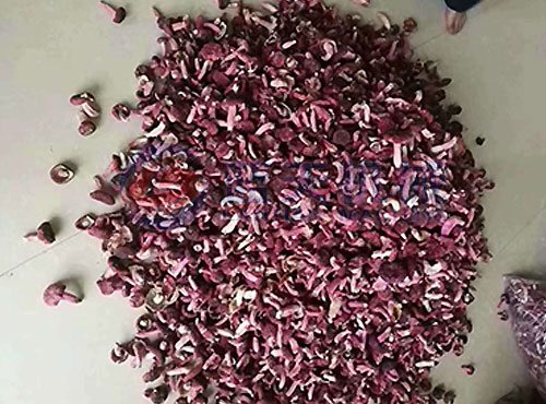福建紅菇烘干機(jī)生產(chǎn)現(xiàn)場
